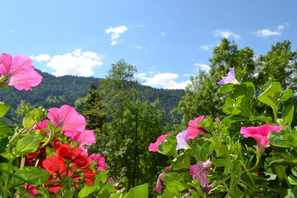 Gaestehaus-Pension Barbara อันเดลส์บุค ห้อง รูปภาพ